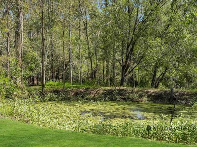 56 Marjorie Court, South Maclean