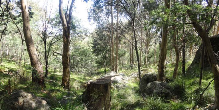 Harrys Creek Road, Strathbogie