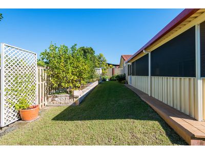 11 Palm St, Pacific Pines