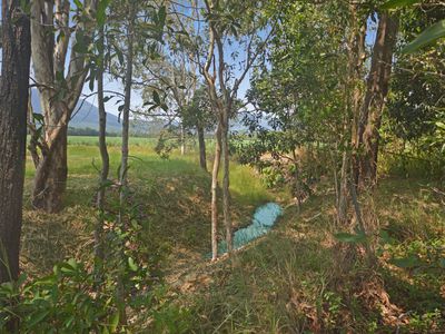 689 Ellerbeck Road, Kennedy