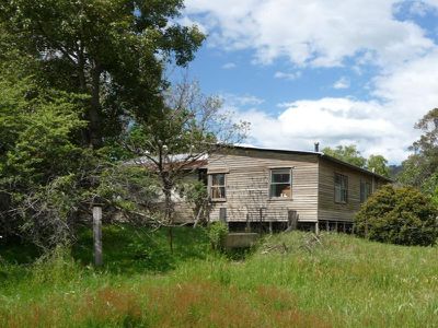43 Schilg Lane, Staghorn Flat