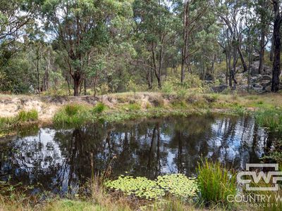 618 Coopers Road, Red Range