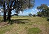 148 Back Saleyards Road, Molong