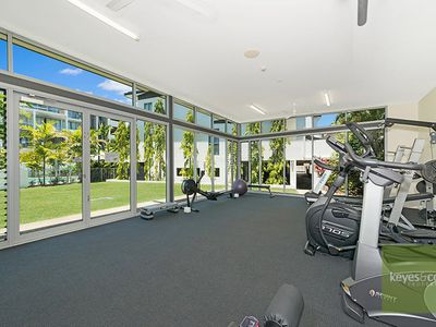 50 / 28 Landsborough Street, North Ward