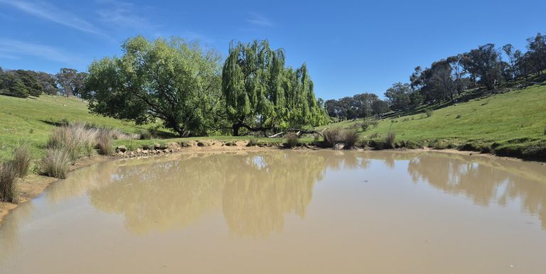 665 Fernhills Road, Marraweeney
