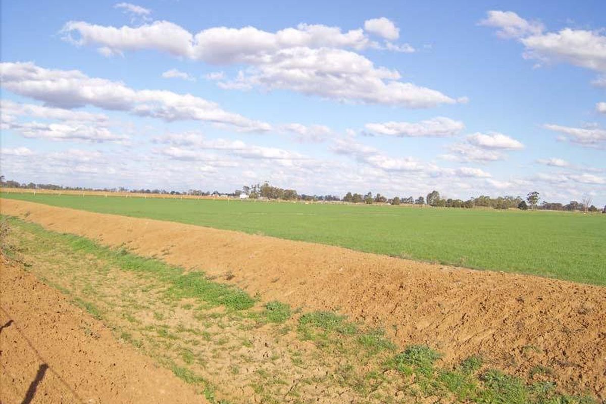 168 Wilson Road, Wyuna