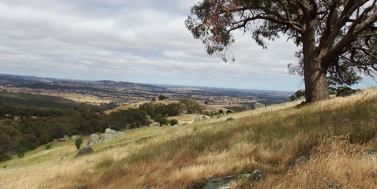 1209 Euroa Strathbogie Road Kelvin View, Euroa