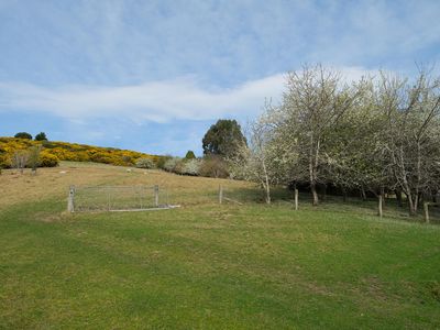 317 Chain Hills Road, Mosgiel