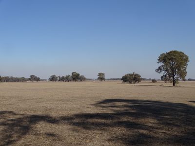 351 Tattersalls Lane, Moormbool West