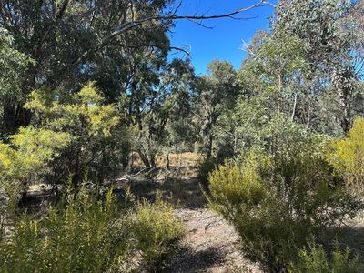 454 Cainbil Road, Coolah