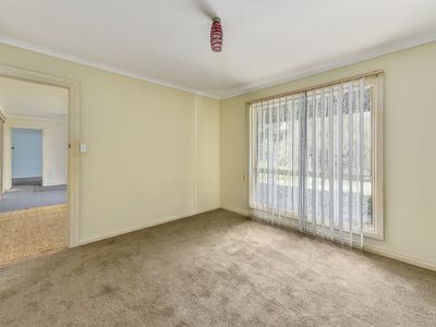 116 Hakea Drive, Millicent