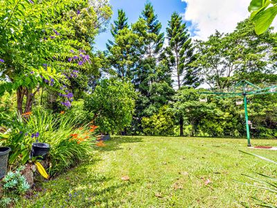 24 Golden Penda Place, Mullumbimby