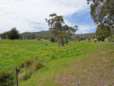 981 Woodbridge Hill Road, Gardners Bay