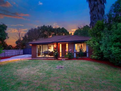 25 Pinehill Drive, Rowville