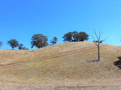 1286 Howes Creek Road, Mansfield