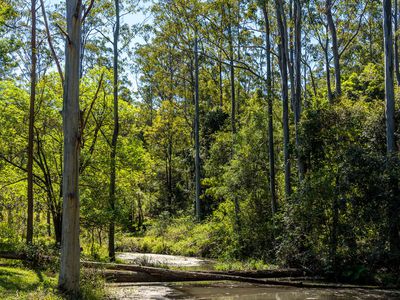 4358 Kyogle Road, Lillian Rock