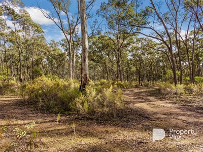 5936 Muckleford-Castlemaine Road, Muckleford