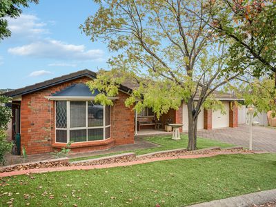 8 Flame Tree Court, Greenwith