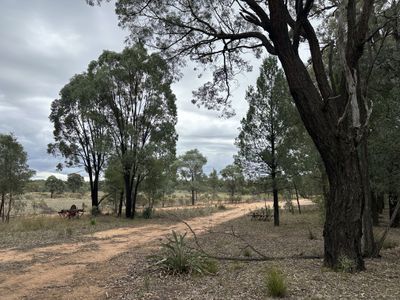 572 Box Ridge Road, Binnaway