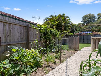 39-41 Gretel Drive, Beachmere