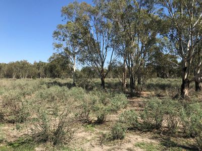 14 / Edward River Road, Moulamein