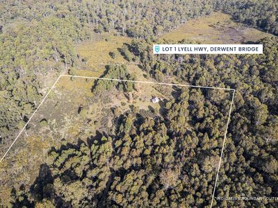 Lot 1, Lyell Highway, Derwent Bridge