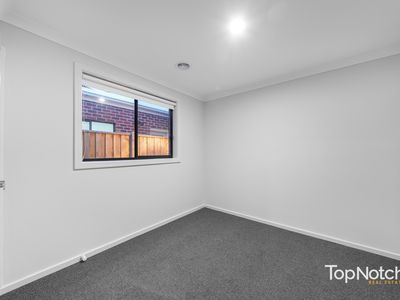 7 Platypus Chase, Beveridge
