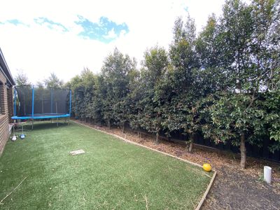 5 Isdell Street, Tarneit