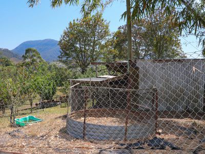 46 Blade Road, Nimbin