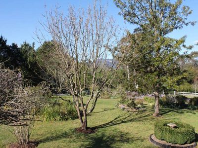 17 Jenanter Dr, Kangaroo Valley