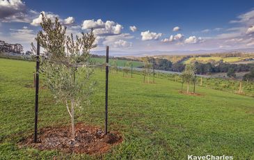 40 Ure Road, Gembrook