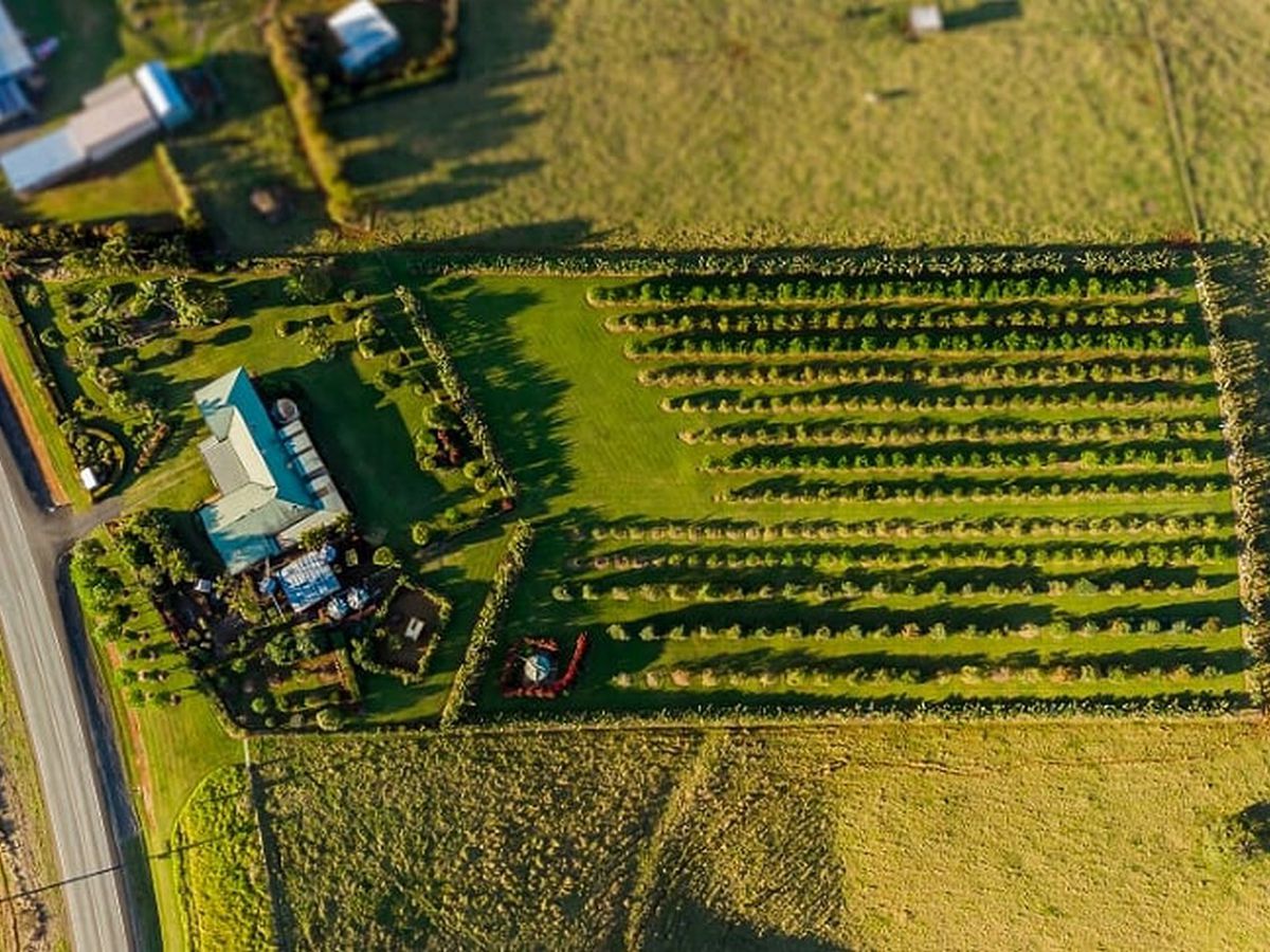 1654 MILLAA-MALANDA ROAD, Jaggan