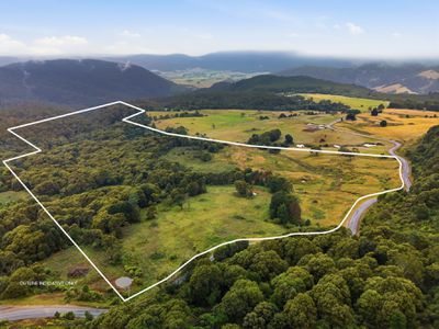 28834 Tasman Highway, Weldborough