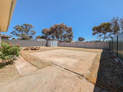 17 Harrison Crescent, Swan Hill