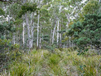 'Hardings Bay Retreat', Lake Leake Road, Lake Leake