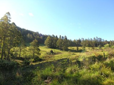 Halls Track Road, Pelverata