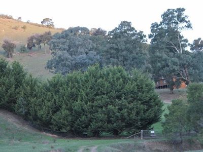 Lot 1 Woolshed Road, Bonnie Doon