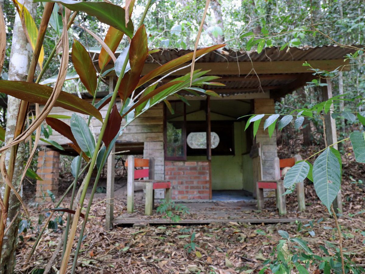 Danbulla