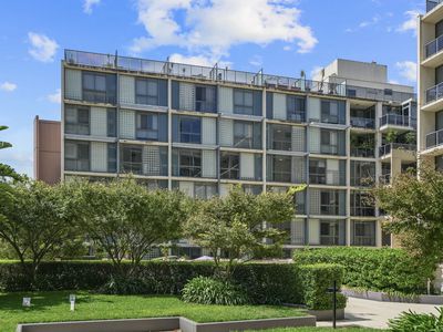 12 / 13 Potter St, Waterloo