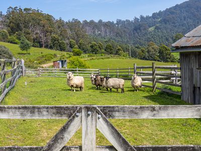158 Silver Hill Road, Cygnet