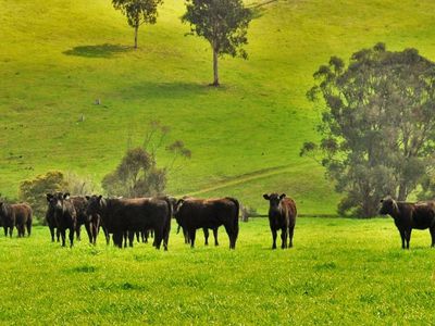 3470 Tallangatta Creek Road, Tallangatta Valley