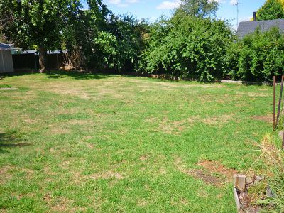 31 Maple Crescent, Blayney
