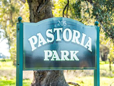 'Pastoria Park' 205 Balldale Road, Hopefield