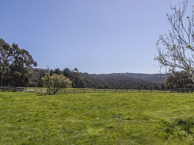 328 Braeside Road, Franklin