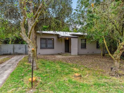 351 Tantanoola Road, Tantanoola