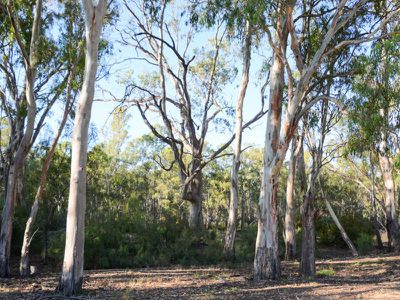 Lot 42, Riverview Drive, Barham