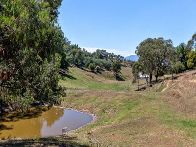 53 Tarrant Lane, Yackandandah