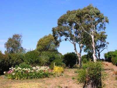 Lot 202 Evans Road, Glenburnie, Mount Gambier