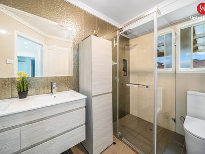 41 Davina Crescent, Cecil Hills