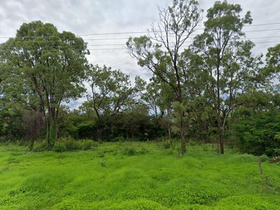 3 Tait Street, Mutchilba